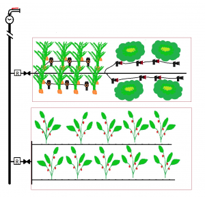 nawadnianie-warzywnikow-budmech