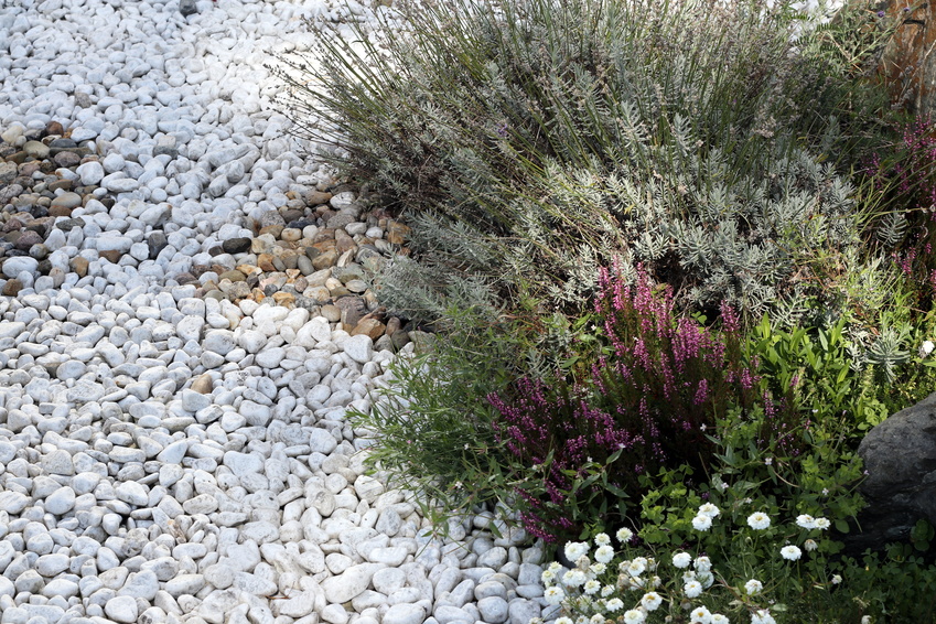 rabaty-zwirowe-budmech-nawadnianie.