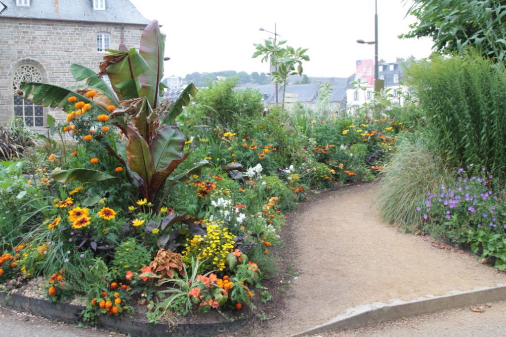 lannion-kwitnace-miasto-budmech-nawadnianie-8