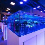 PVC-U dla akwarystyki