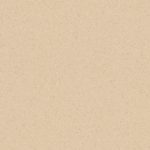 centra-light-orange-0785
