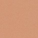 centra-orange-0784