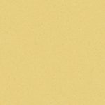 centra-yellow-0732