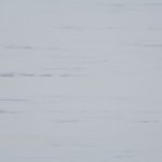 novoflor-extra-dual-215