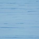 novoflor-extra-dual-903