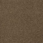 Eclipse-color-222-Acorn-2
