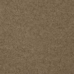 Eclipse-color-270-Almond