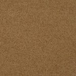 clipse-color-332-Apricot-2