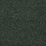 Eclipse-color-831-Ash-1