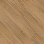 Rhine-oak-29505-2