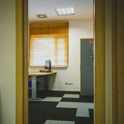wykładzina dywanowa